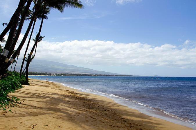Kealia Resort 502 Kihei Bagian luar foto